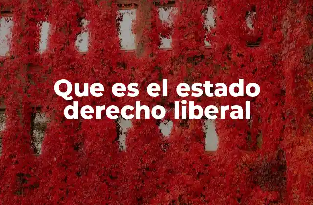 Que es el Estado Derecho Liberal 2 Características del estado basado en el derecho y la libertad