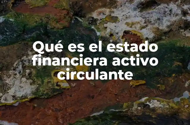 Qué es el Estado Financiera Activo Circulante