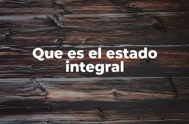 Que es el Estado Integral