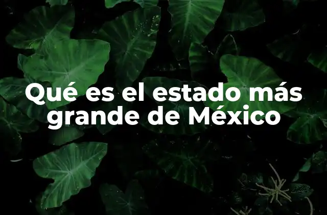 Qué es el Estado Más Grande de México
