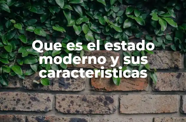 Que es el Estado Moderno y Sus Caracteristicas