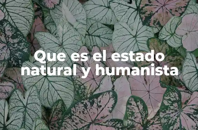 Que es el Estado Natural y Humanista