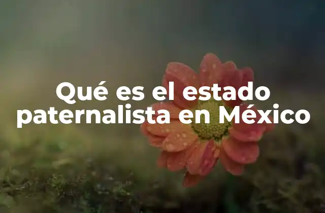 Qué es el Estado Paternalista en México
