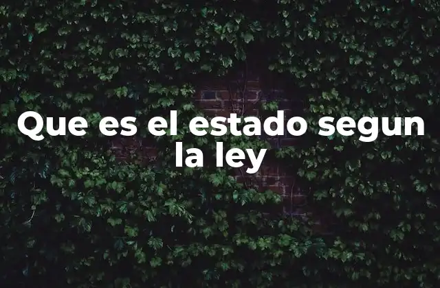 Que es el Estado Segun la Ley