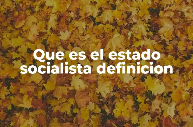 Que es el Estado Socialista Definicion 2 El estado socialista y su enfoque en la justicia social