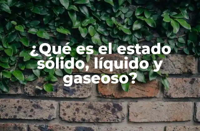 ¿qué es el Estado Sólido, Líquido y Gaseoso?
