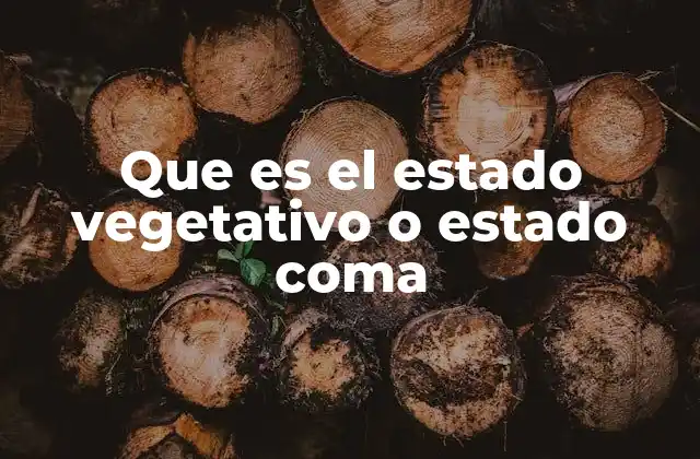 Las diferencias entre estado vegetativo y estado de coma