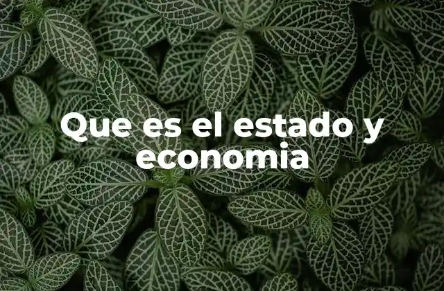 Que es el Estado y Economia