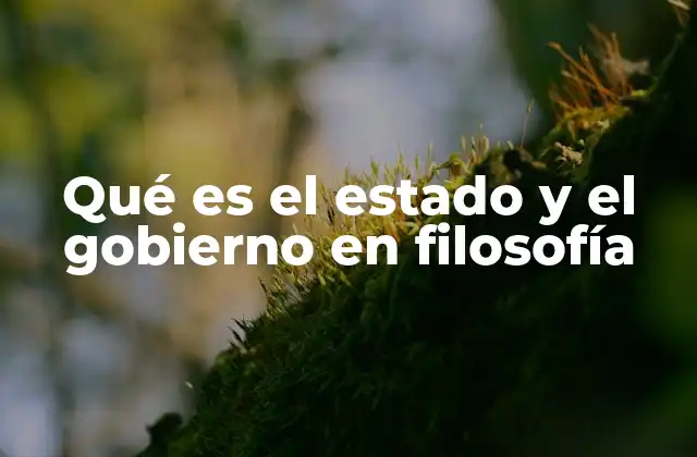 Qué es el Estado y el Gobierno en Filosofía