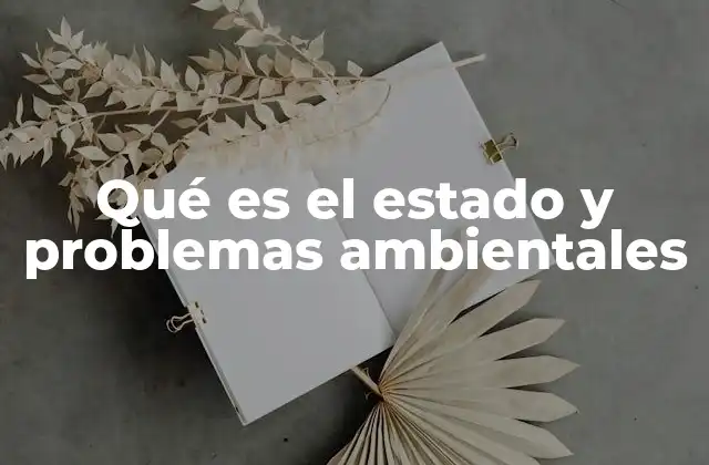 Qué es el Estado y Problemas Ambientales