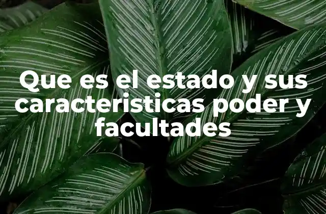 Que es el Estado y Sus Caracteristicas Poder y Facultades
