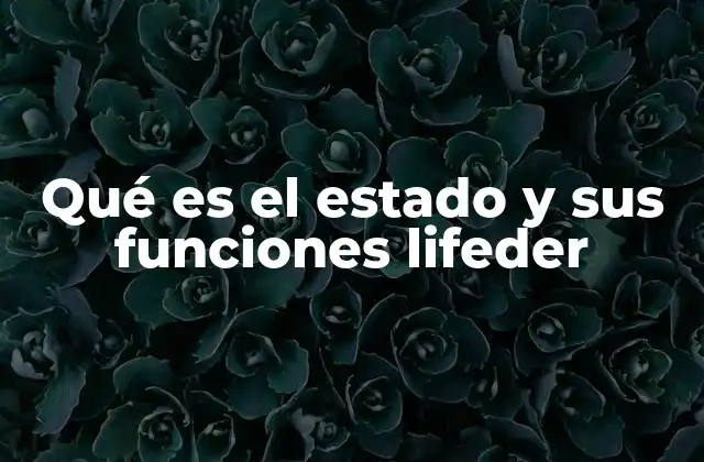 La organización del poder estatal en la sociedad