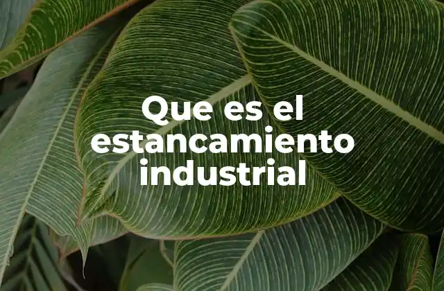 Que es el Estancamiento Industrial