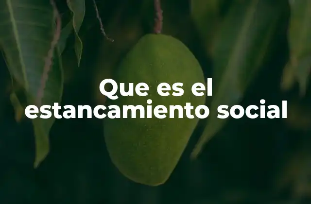 Que es el Estancamiento Social