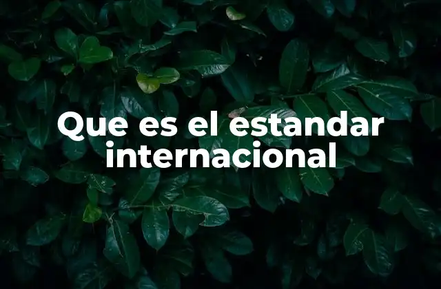 Que es el Estandar Internacional
