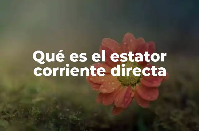 Función del estator en el motor eléctrico