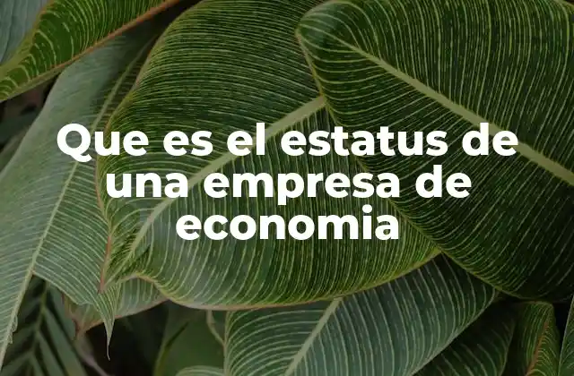 Que es el Estatus de una Empresa de Economia
