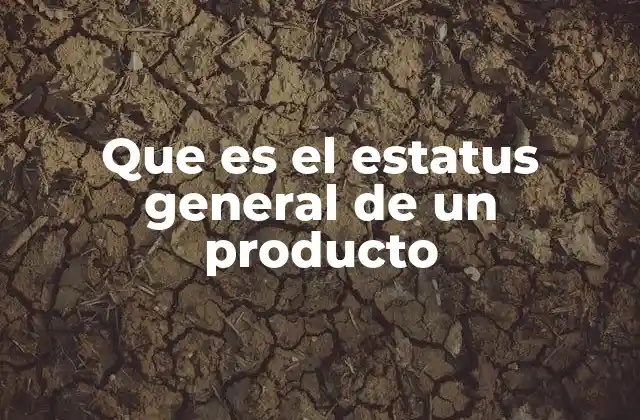 Que es el Estatus General de un Producto 2 La importancia del estado actual de un artículo en la gestión empresarial