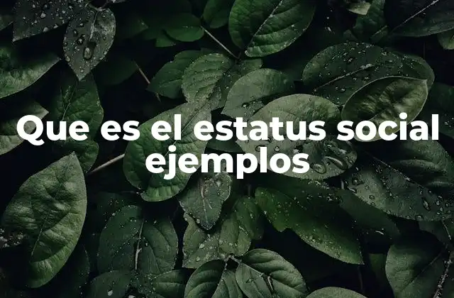 Que es el Estatus Social Ejemplos 2 La importancia del estatus en la vida cotidiana