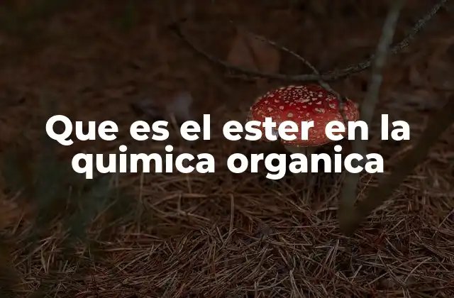 Que es el Ester en la Quimica Organica