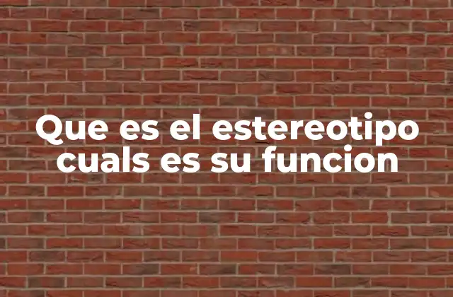 Que es el Estereotipo Cuals es Su Funcion