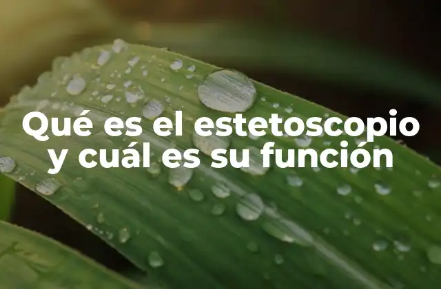 Qué es el Estetoscopio y Cuál es Su Función