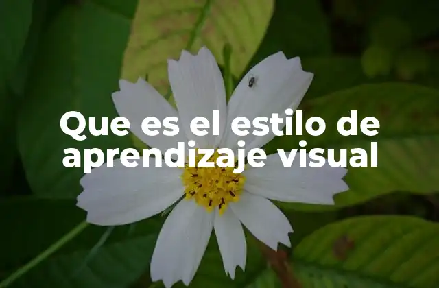 Que es el Estilo de Aprendizaje Visual