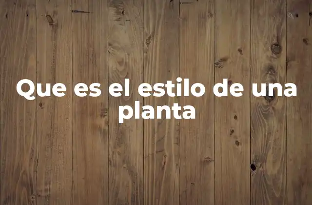 Que es el Estilo de una Planta