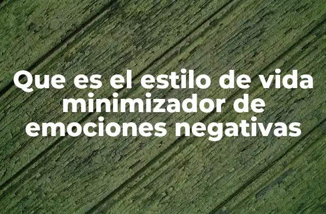 Que es el Estilo de Vida Minimizador de Emociones Negativas