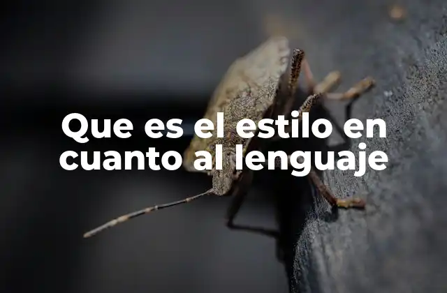 Que es el Estilo en Cuanto Al Lenguaje