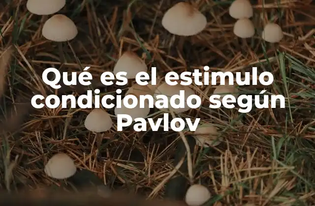 Qué es el Estimulo Condicionado según Pavlov