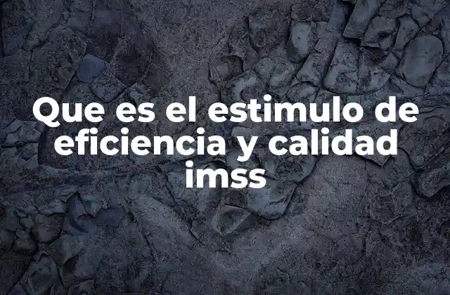 Que es el Estimulo de Eficiencia y Calidad Imss 2 Cómo se mide la eficiencia y calidad en el IMSS