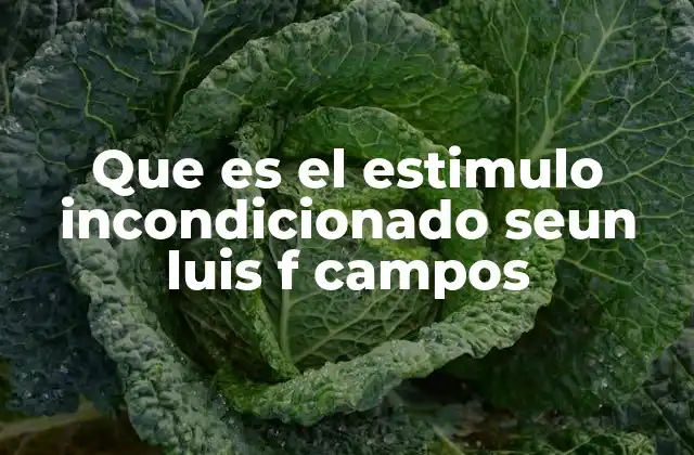 Que es el Estimulo Incondicionado Seun Luis F Campos