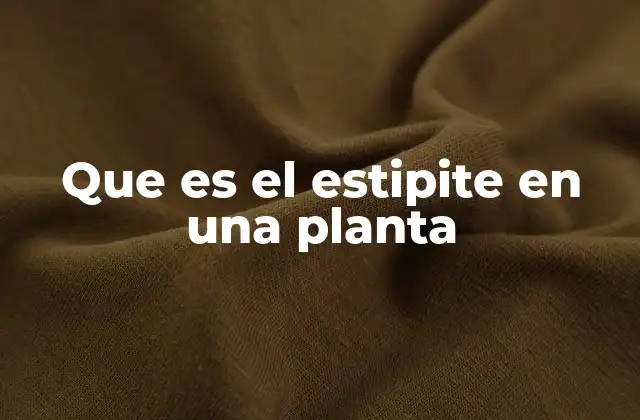 Que es el Estipite en una Planta