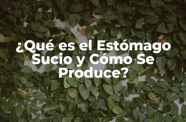 ¿qué es el Estómago Sucio y Cómo Se Produce?