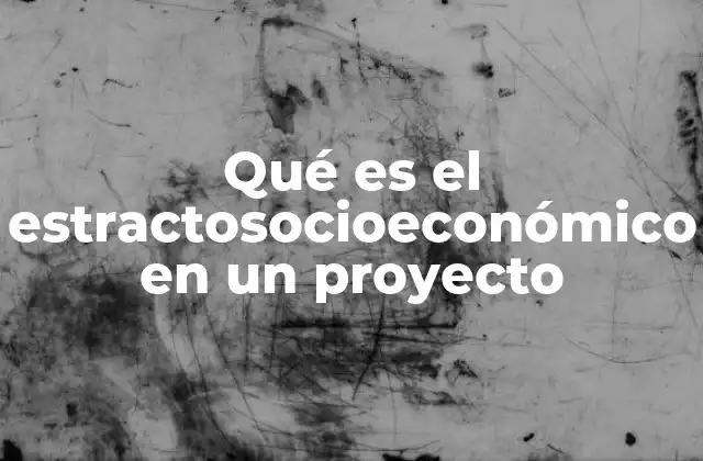 Qué es el Estractosocioeconómico en un Proyecto