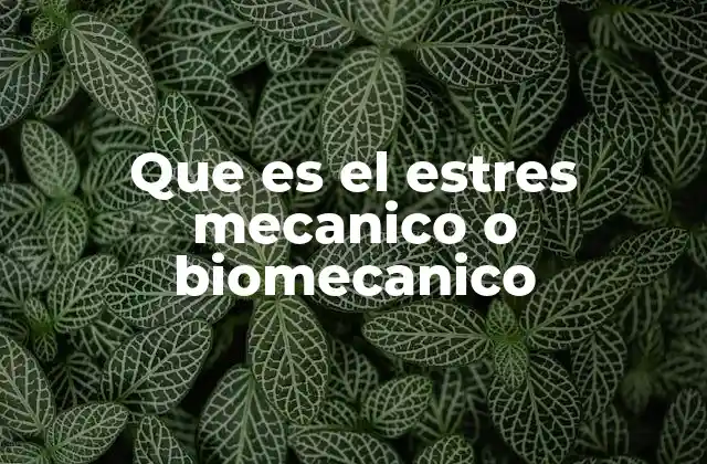Que es el Estres Mecanico o Biomecanico