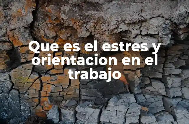 Que es el Estres y Orientacion en el Trabajo