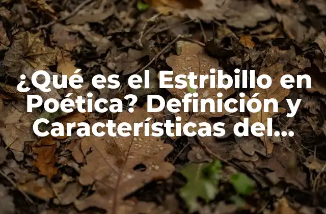 ¿qué es el Estribillo en Poética? Definición y Características Del Conjunto de Palabras en una Línea Del Poema