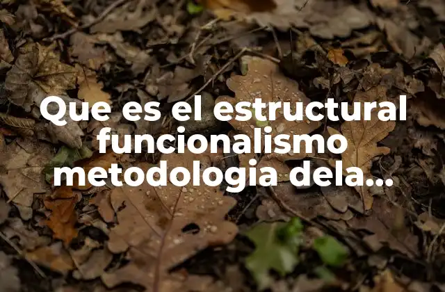 Que es el Estructural Funcionalismo Metodologia Dela Investigacion