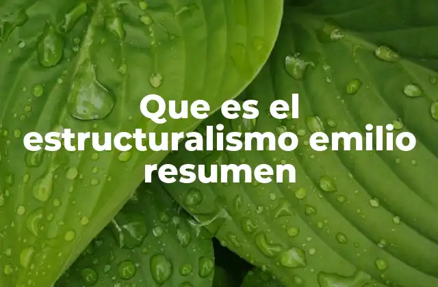 La base estructural de la sociedad según Durkheim