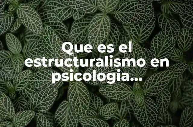 Que es el Estructuralismo en Psicologia Observaciones
