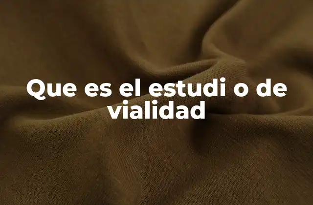 Que es el Estudi o de Vialidad