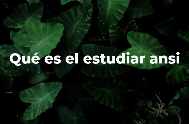 Qué es el Estudiar Ansi