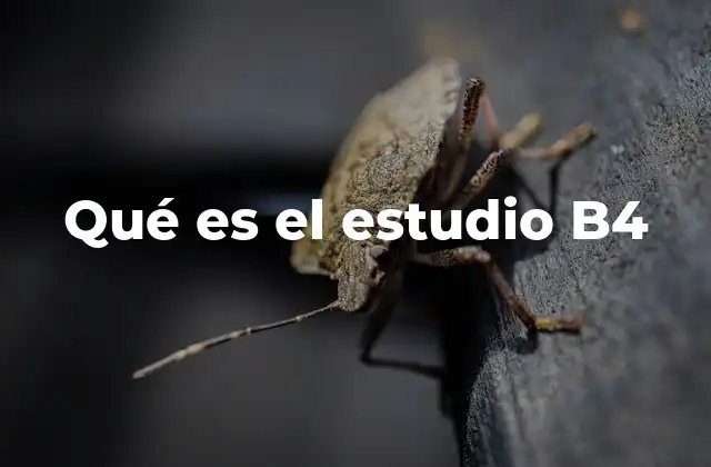 Qué es el Estudio B4