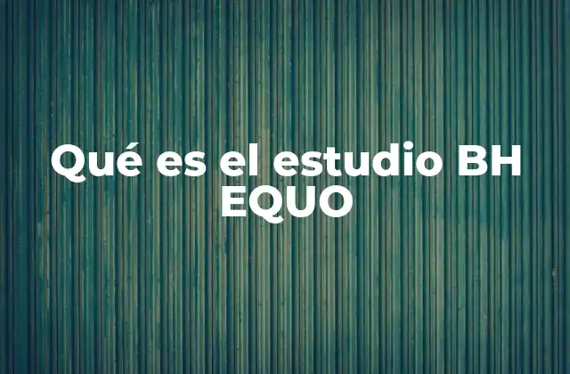 Qué es el Estudio Bh Equo 2 El enfoque del estudio BH EQUO