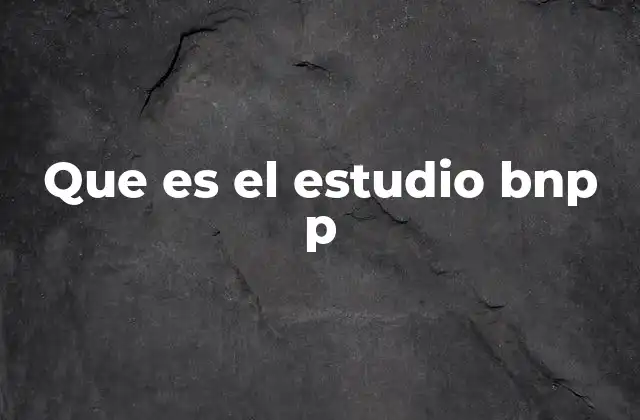 Que es el Estudio Bnp P