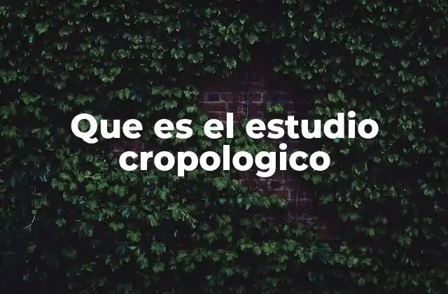 Que es el Estudio Cropologico