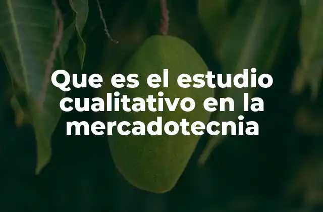 Que es el Estudio Cualitativo en la Mercadotecnia