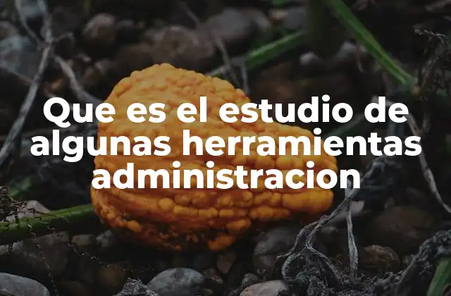 Que es el Estudio de Algunas Herramientas Administracion